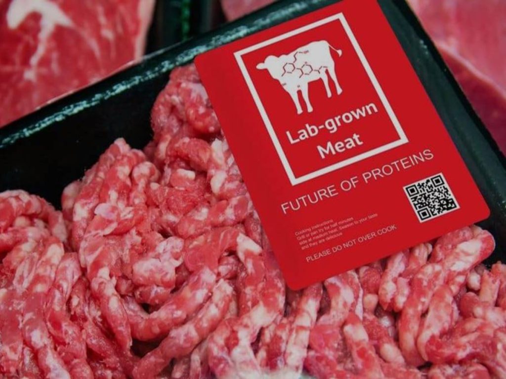 Lollobrigida Carne Coltivata Andiamo Prima A Produrre In Africa