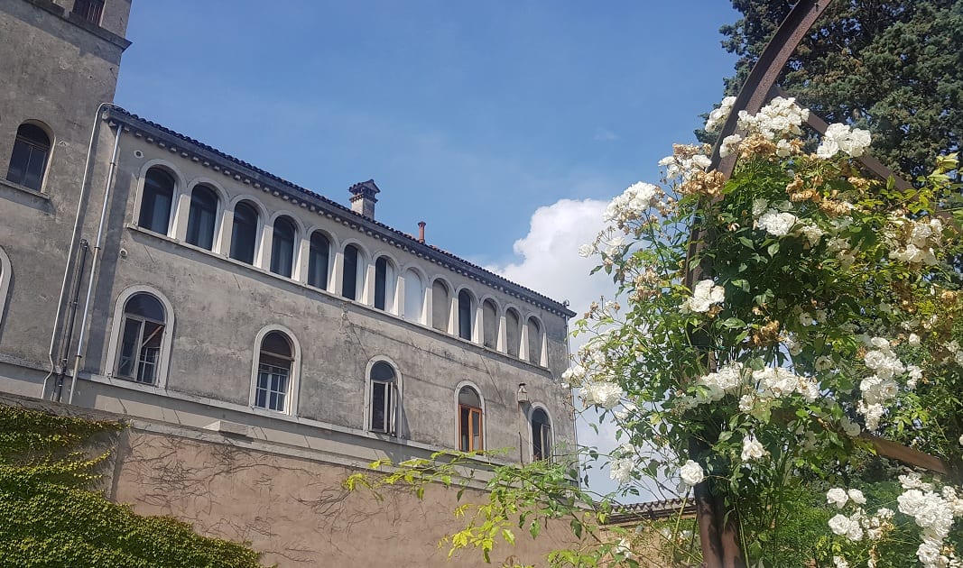 Rose bianche fiorite al Giardino Mistico degli Scalzi di Venezia