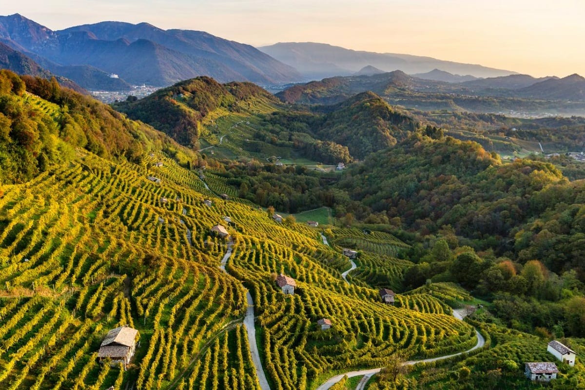 Paesaggio del Conegliano Valdobbiadene Prosecco _photo credits Arcangelo Piai_3