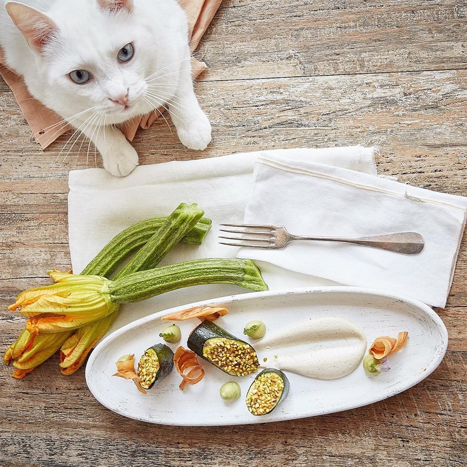 Piatto di verdure e gattino bianco al Romeow Cat Bistrot