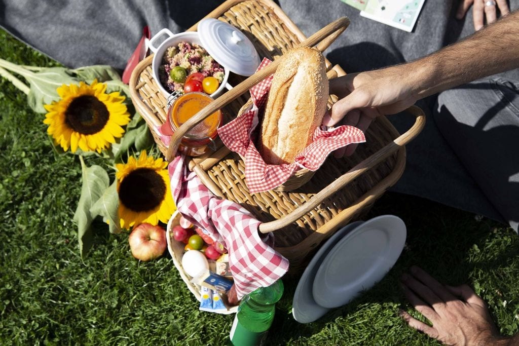 Un cestino da picnic sul prato di Basilea