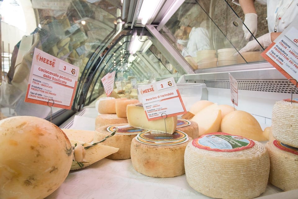 Banco frigo con pecorini e formaggi stagionati a Cheese 2019