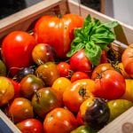 Una cassetta di pomodori da Manna Organic