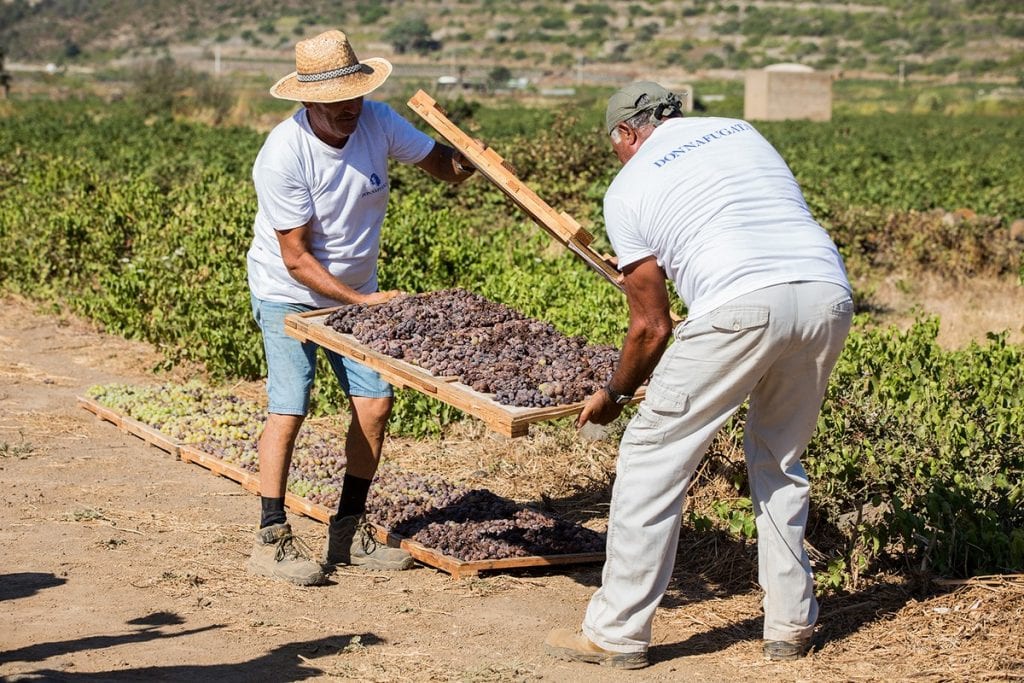 Pantelleria Doc Festival