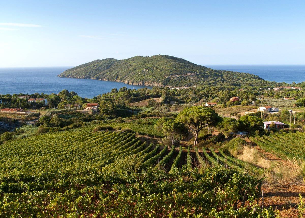 Isola d'Elba vino - Acquabona Cote di Siterno Lacona