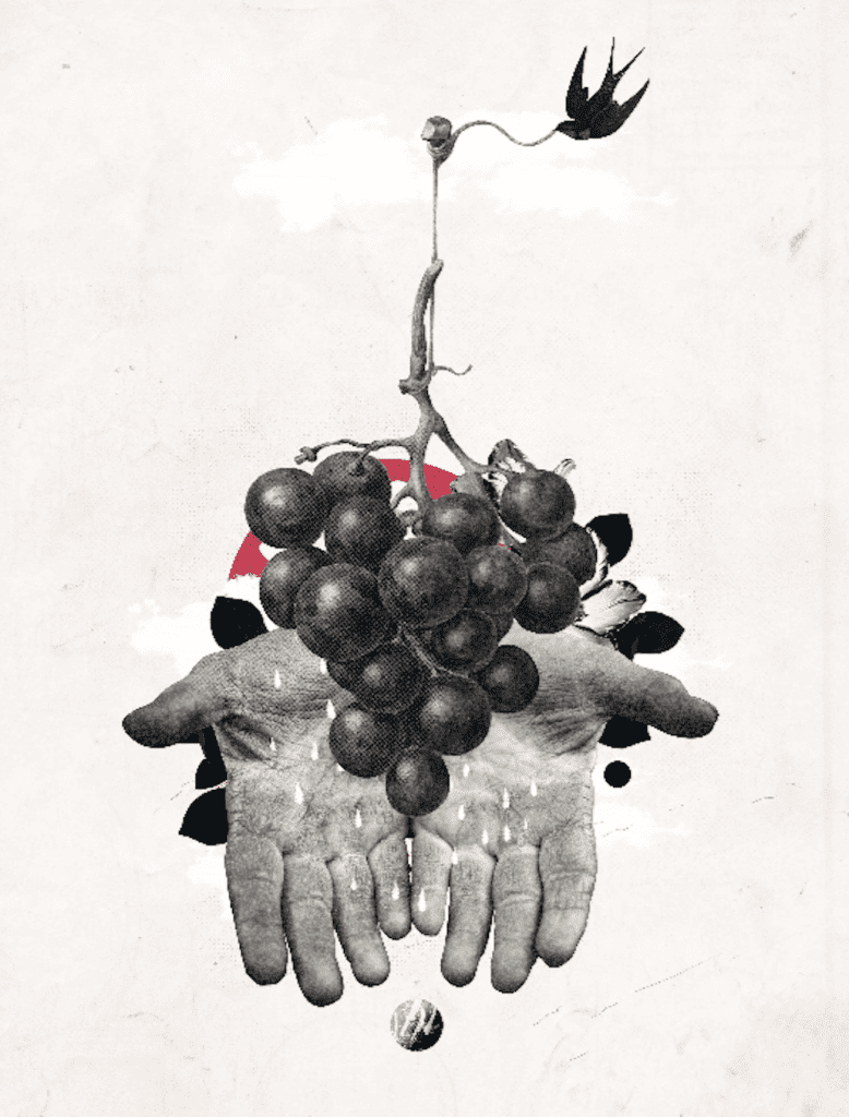 Il grande libro illustrato del vino italiano - Eleonora Guerini