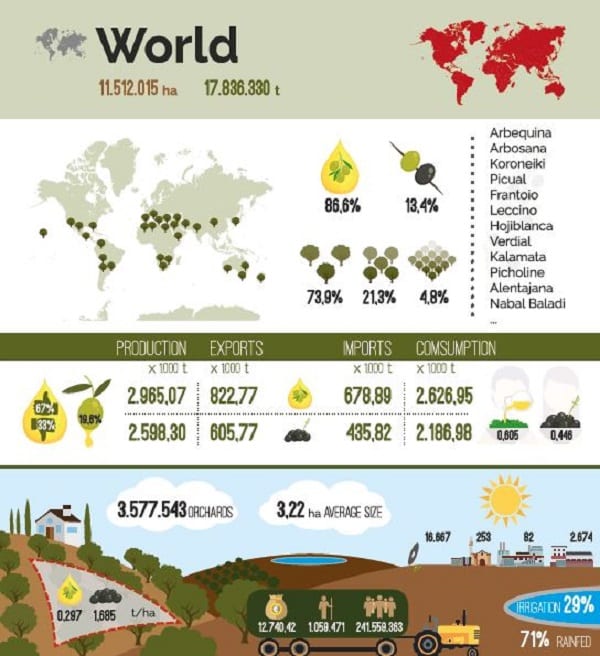 Tabella sull'olivicoltura nel mondo
