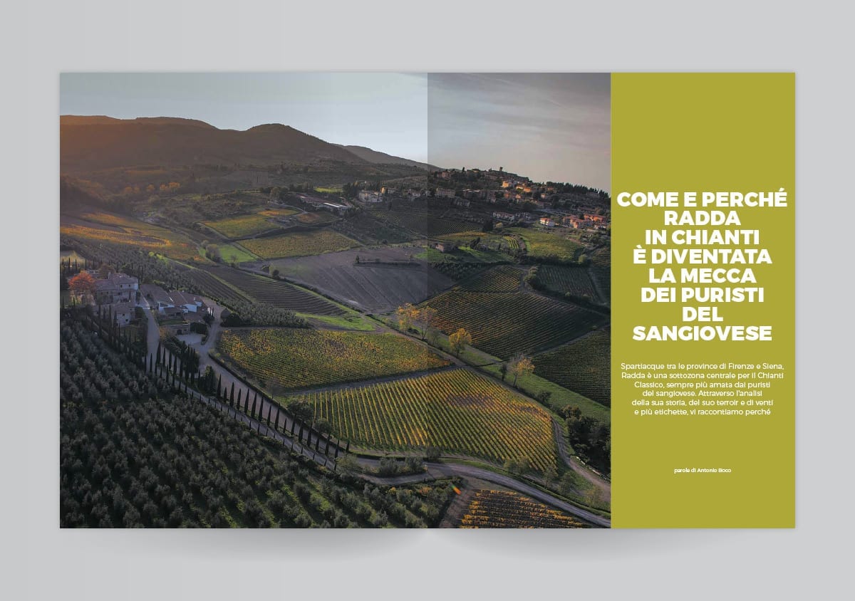 Il panorama viticolo di Radda in Chianti