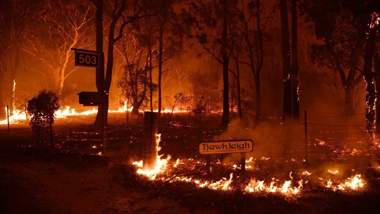 Un bosco australiano in fiamme