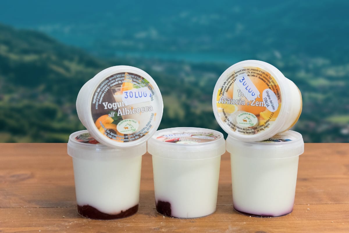 fattoriadelcolle yogurt artigianale