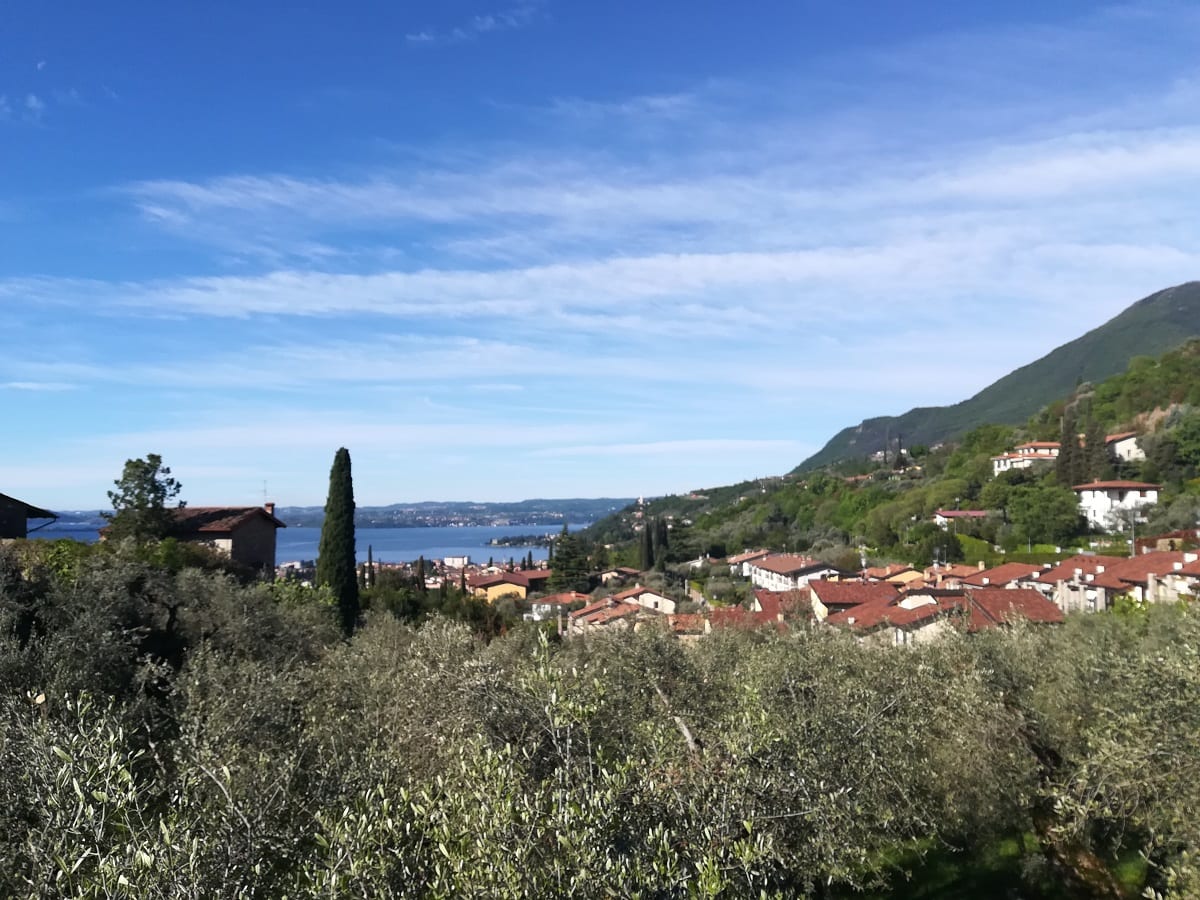 Casa del Tempo Ritrovato, oliveto e lago di Garda