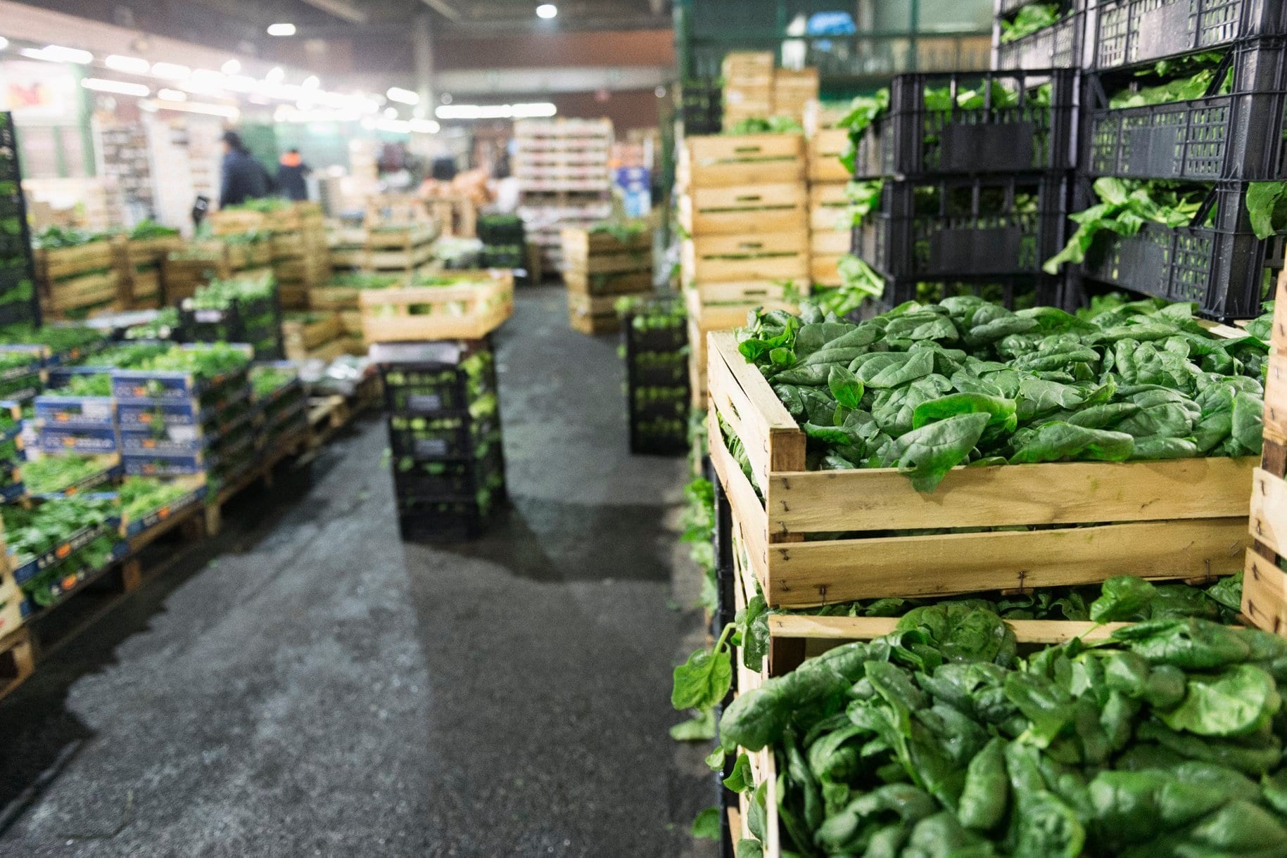 Cassette di verdura la mercato agroalimentare di Milano