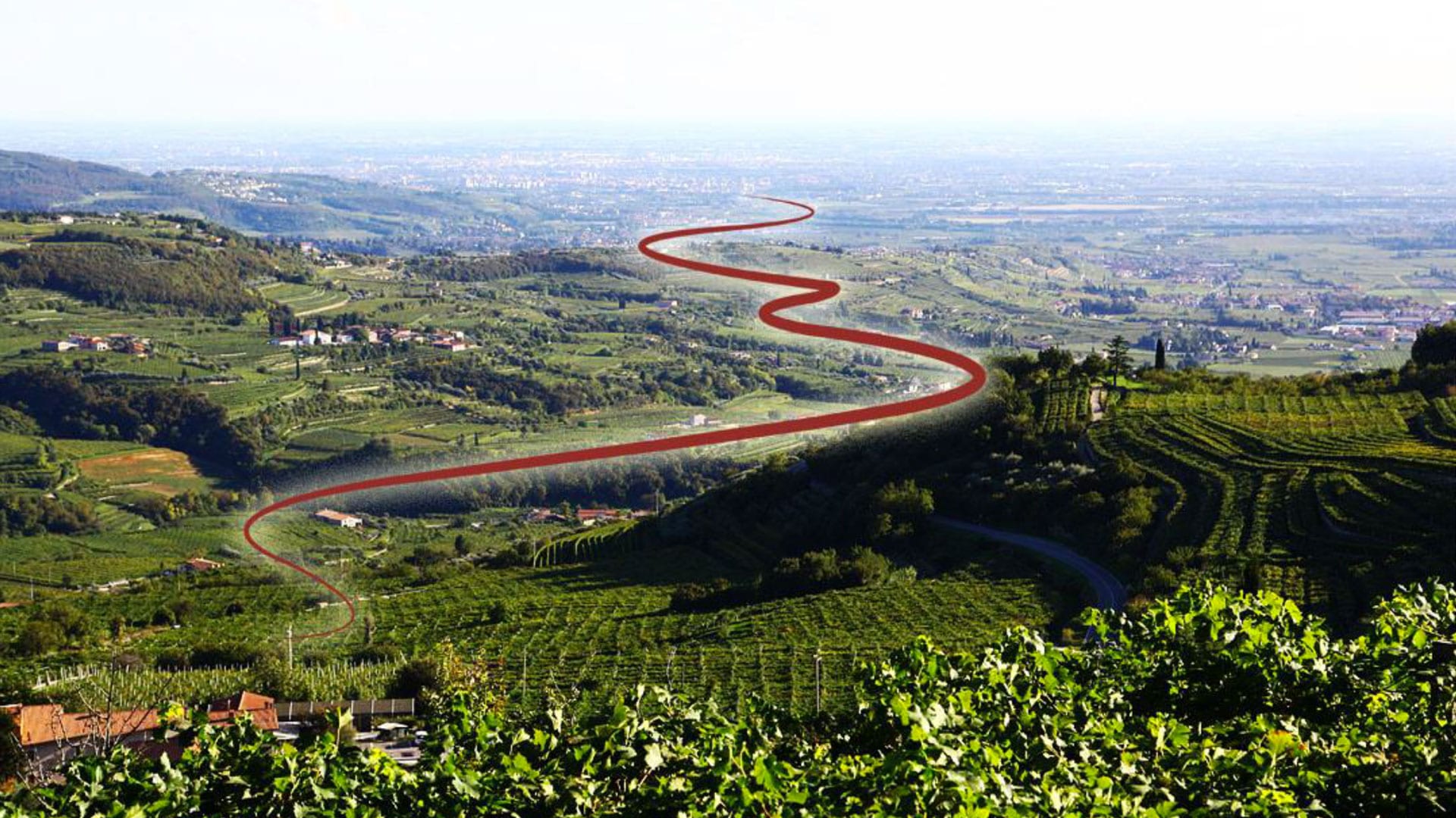 Nasce il Cammino del Bardolino: 100 km tra i vigneti - Gambero Rosso