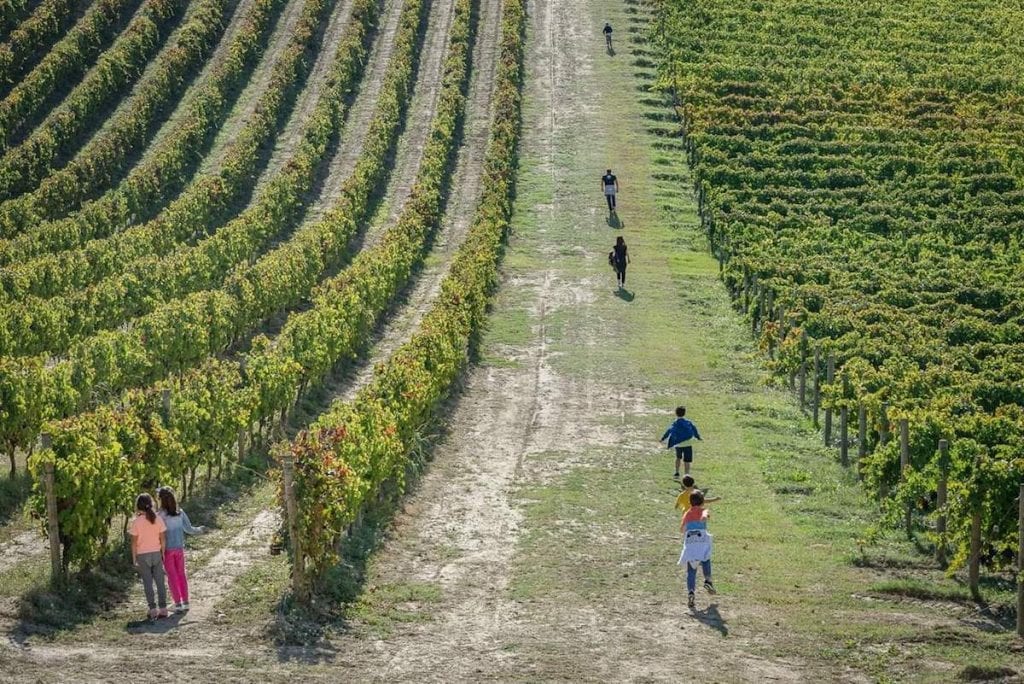 ENOTURISMO VIGNETI