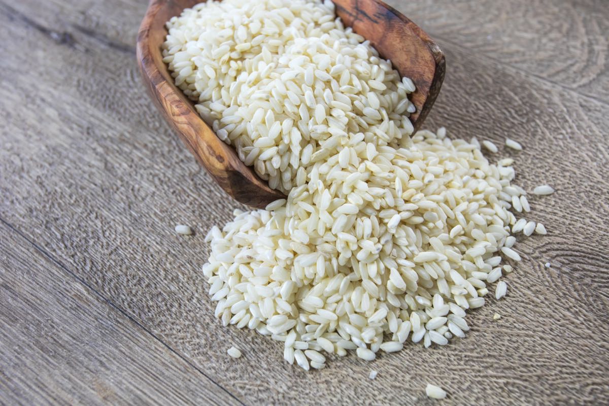 I prodotti agroalimentari più importanti della Lombardia: il riso