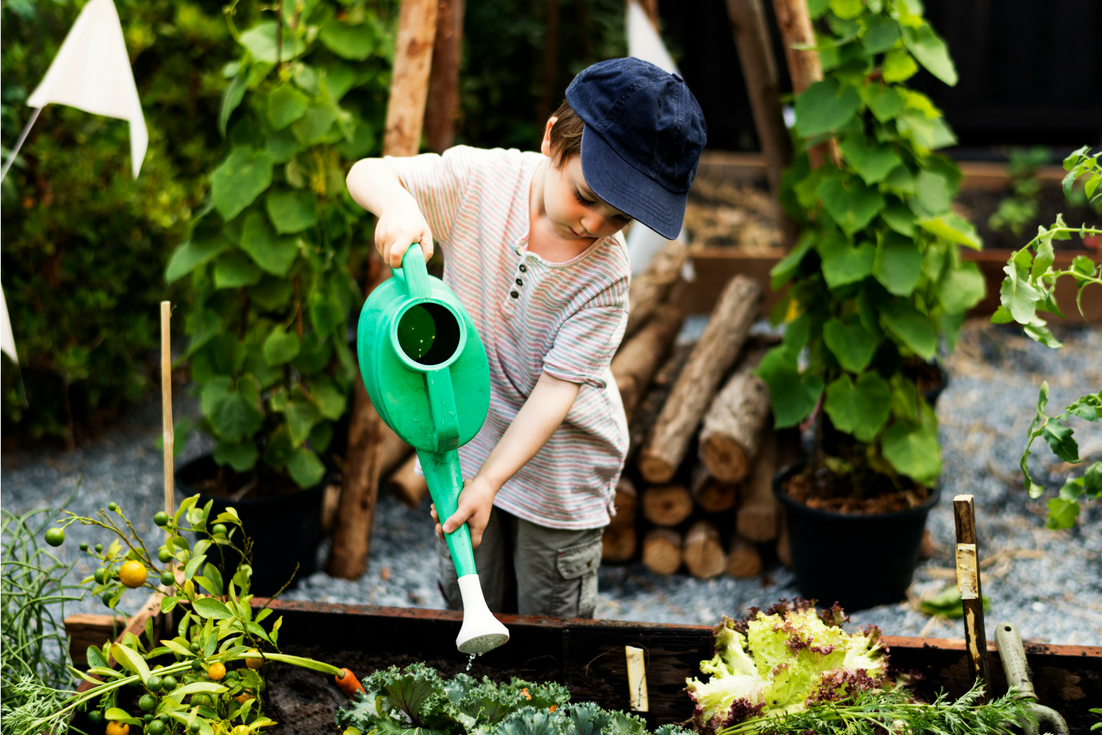 Un bambino innaffia le piante nell'orto