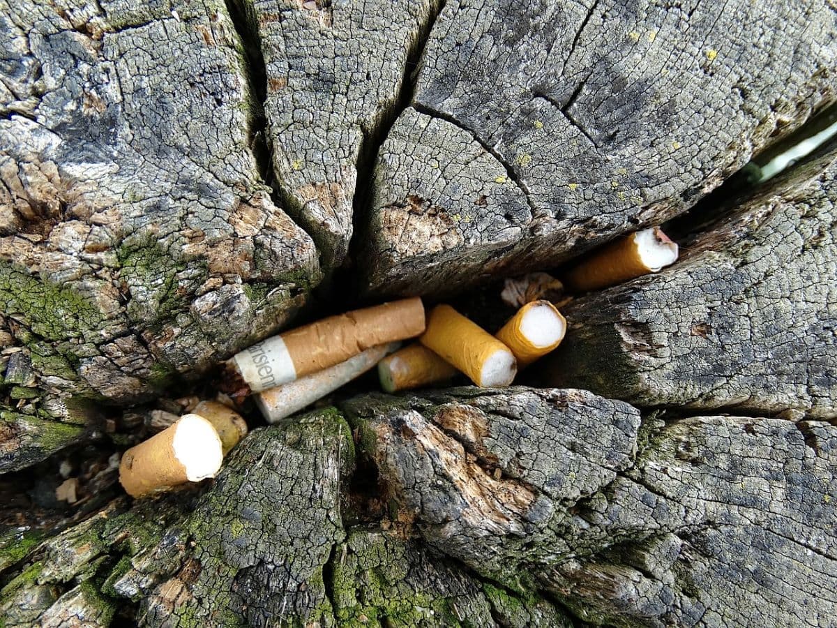Mozziconi di sigaretta che inquinano l'ambiente