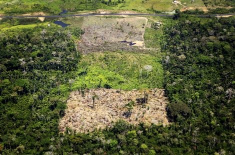 Deforestazione nella foresta amazzonica brasiliana