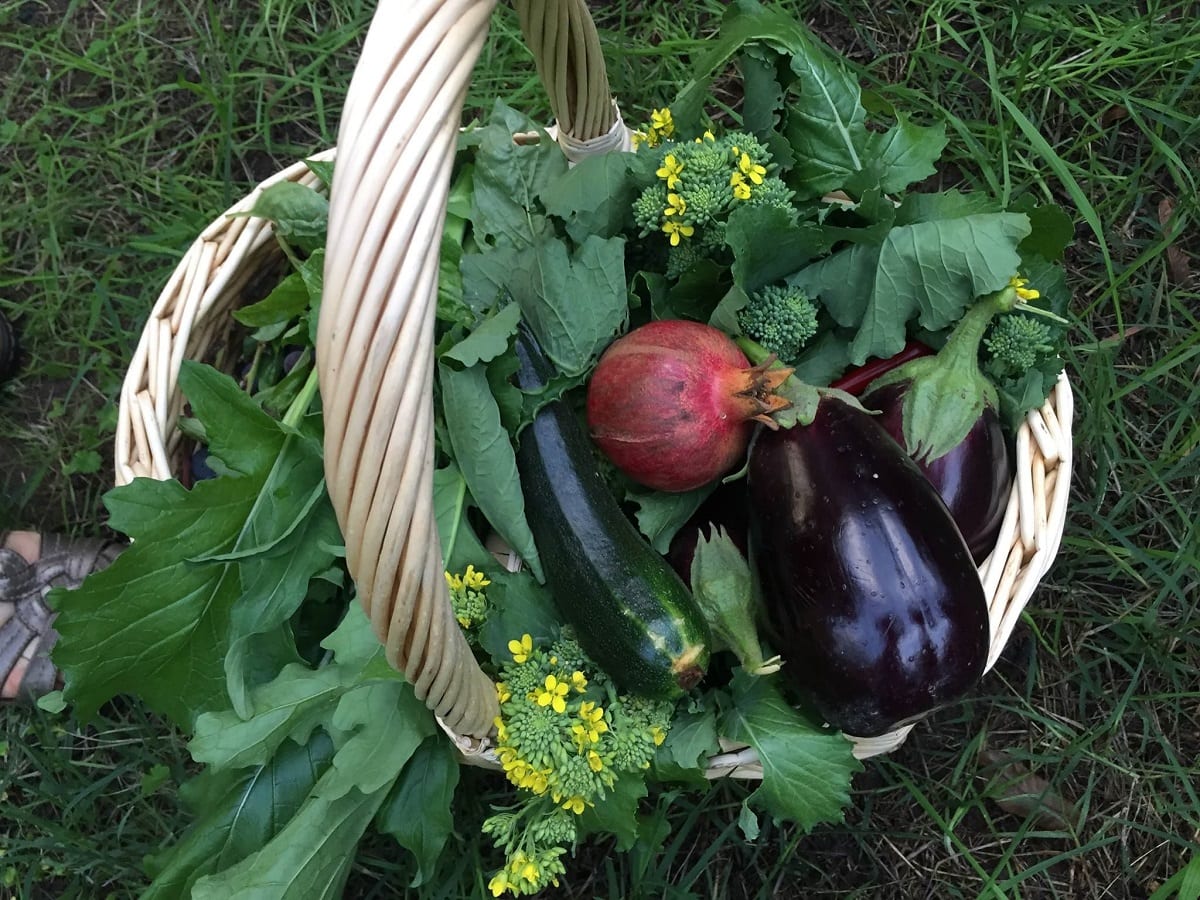 Cesto di ortaggi e frutta