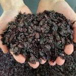 Vinacce parzialmente essiccate per la farina di vinaccioli di GS Natural