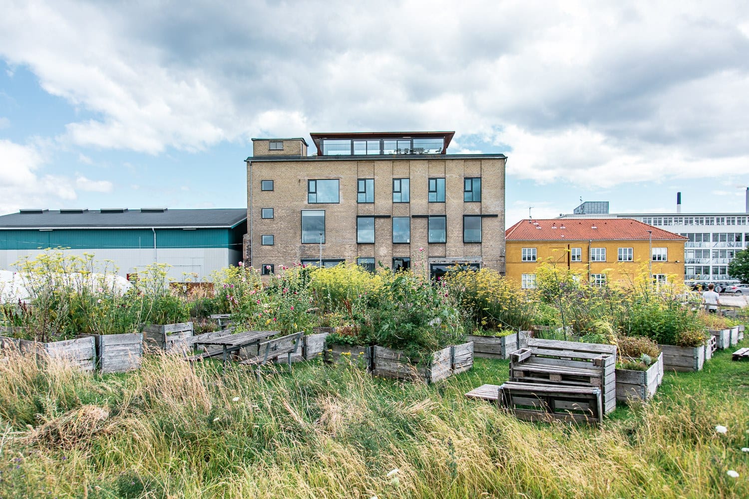 Il giardino sul tetto di Amass a Copenhagen