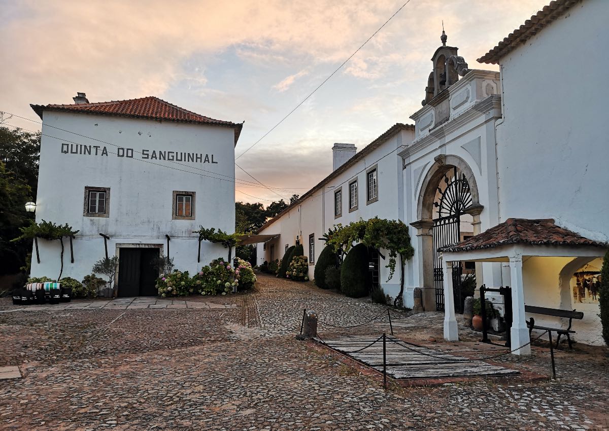 Cosa vedere in Portogallo: Quinta do Sanguinal: 