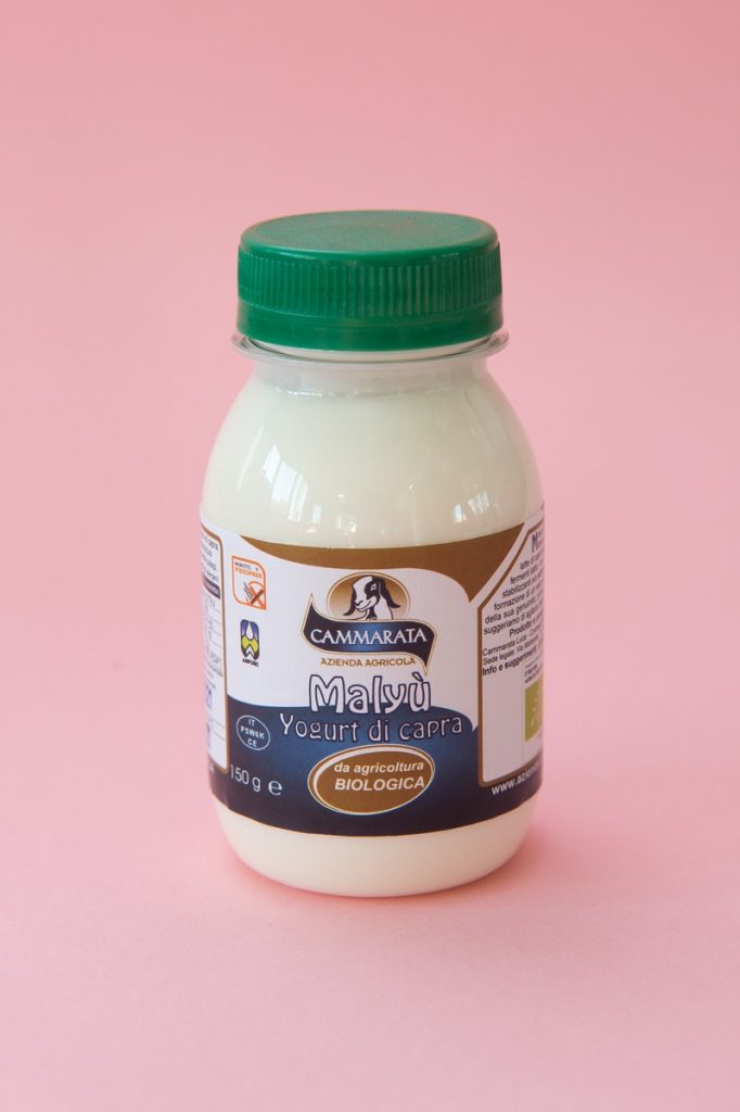 yogurt Cammarata