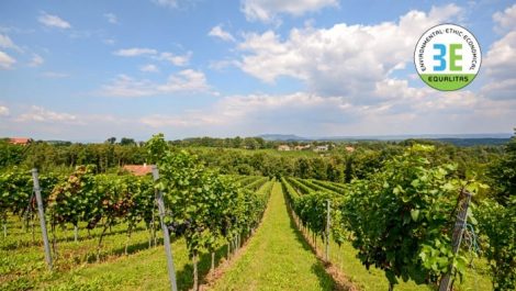 Equalitas: obiettivi condivisi e progetti concreti per la sostenibilità del vino