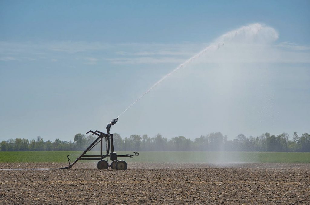 siccita - irrigazione - Foto di Anrita1705 da Pixabay