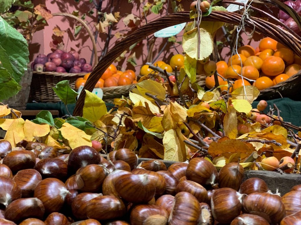 frutta e ortaggi d'autunno