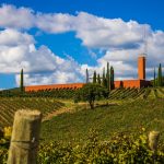 Vini Rari: due rossi di Maremma e Umbria da vigne in quota