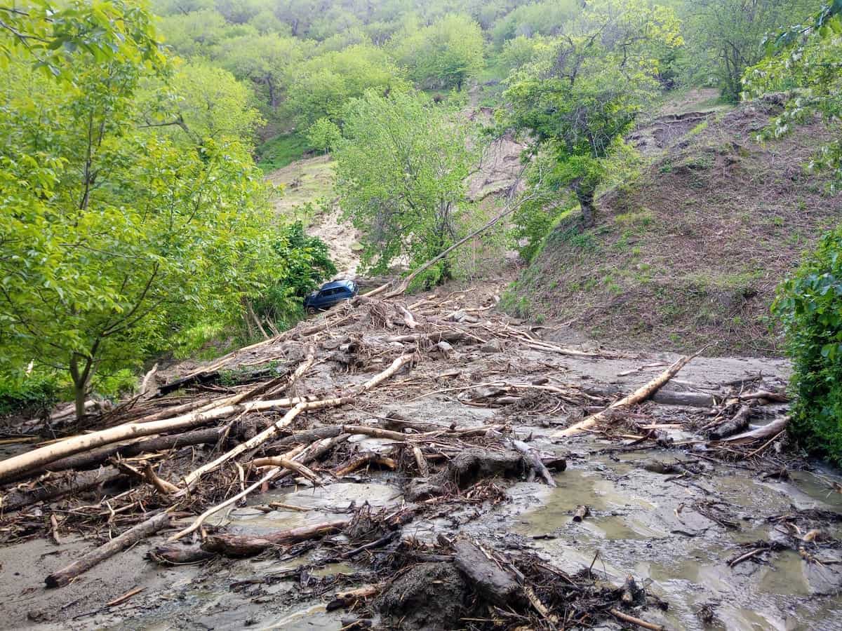 Alluvione in Romagna- le frane devastano i castagneti secolari di Castel del Rio.