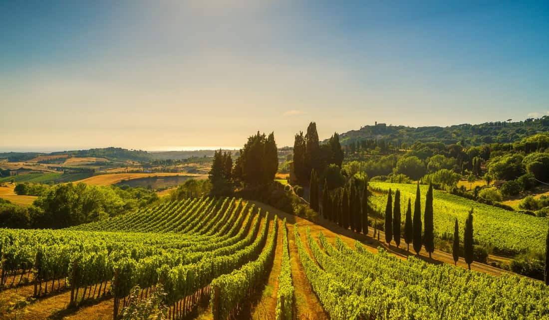 A spasso per la Maremma Toscana. 8 vini dal migliore rapporto-qualità prezzo
