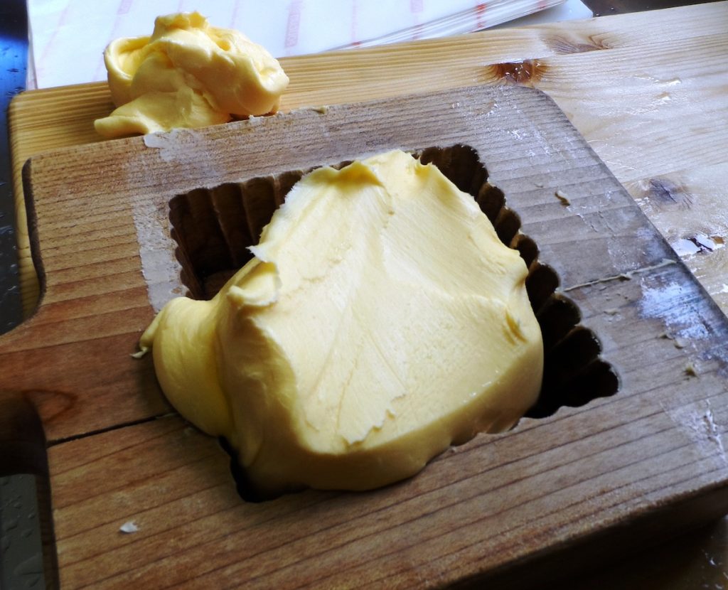 botiro di primiero di malga - ph strada dei formaggi delle Dolomiti 