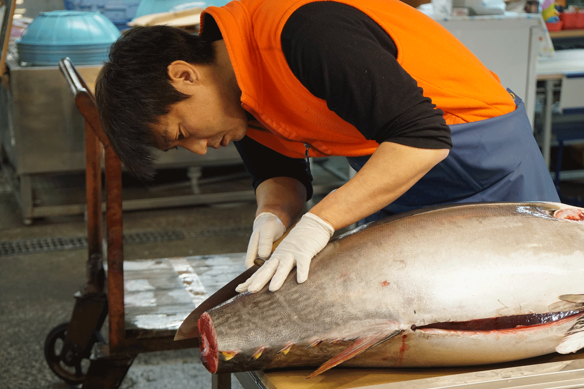 lavorazione del tonno in Giappone