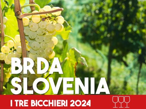 Tre Bicchieri 2024, i migliori vini di Brda in Slovenia premiati da Gambero Rosso