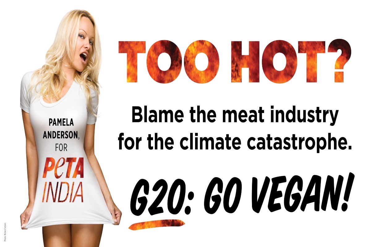 Pamela Anderson Censored at G20 Summit Over Vegan Posters