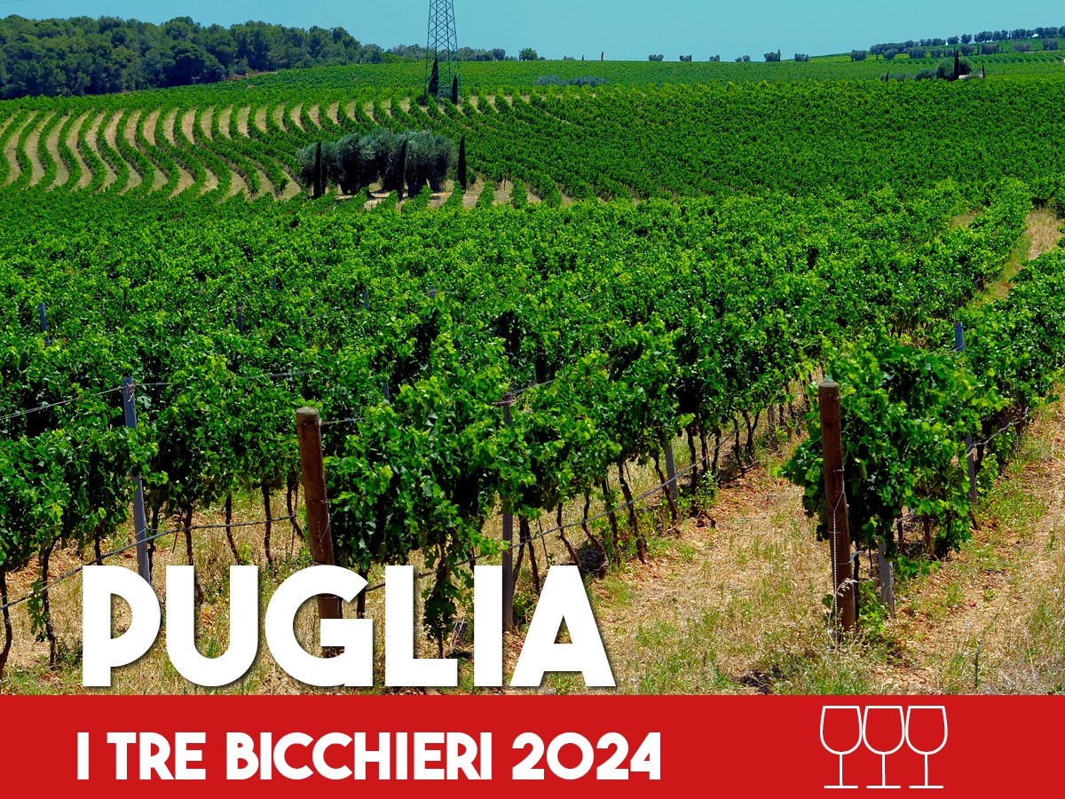 Tre Bicchieri 2024, i migliori vini della Puglia premiati da Gambero Rosso. La regione continua a crescere