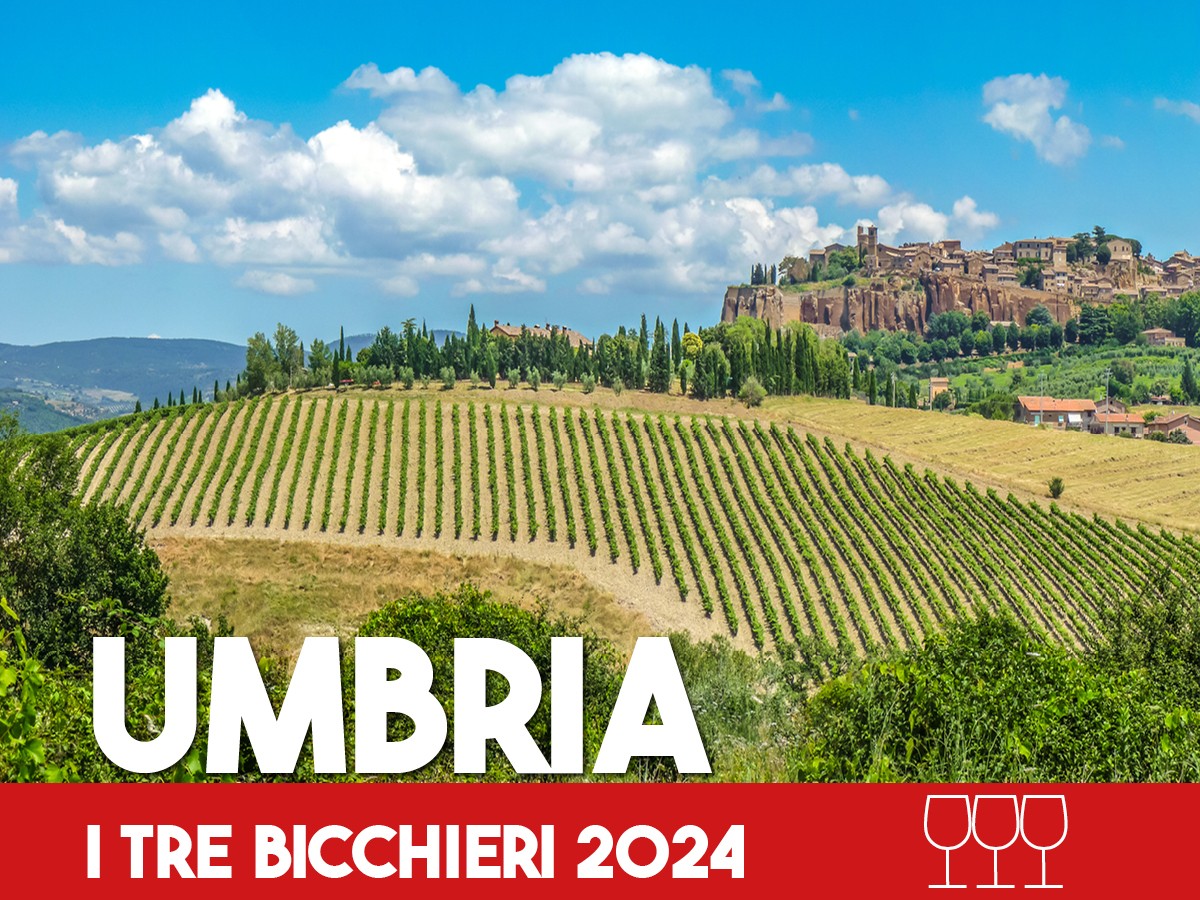 Tre Bicchieri 2024, i migliori vini dell'Umbria premiati da Gambero Rosso. Record per la regione