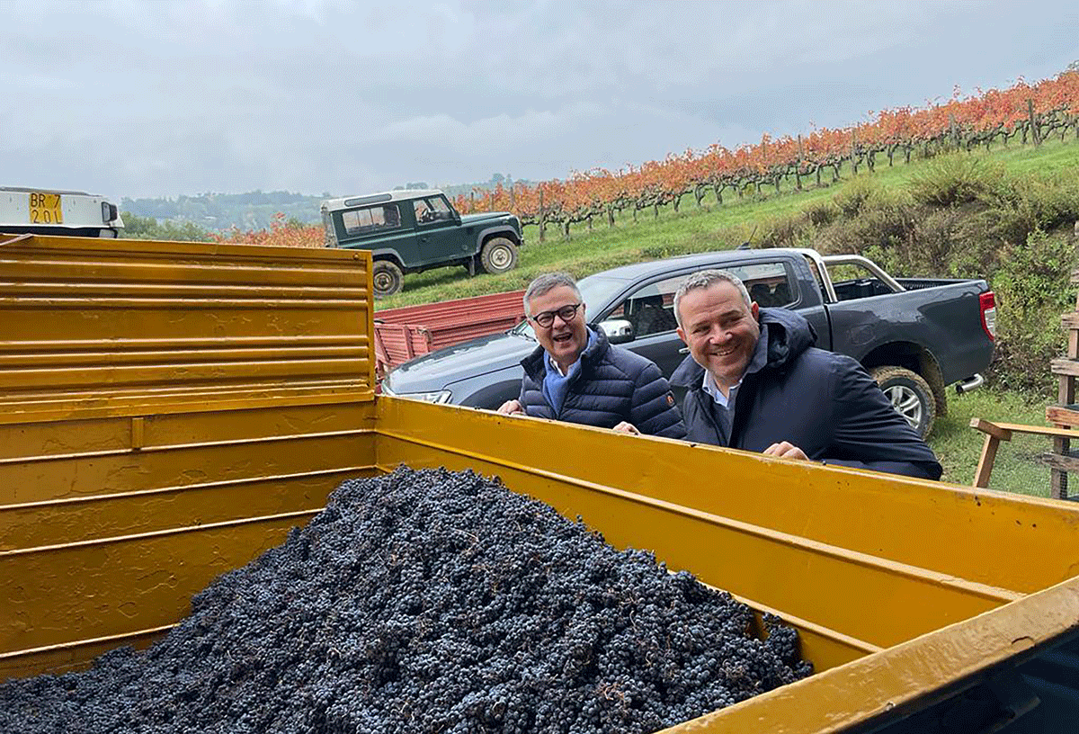 Alessio Tessieri e Marco Caprai, davanti al carico di uve appena vendemmiate