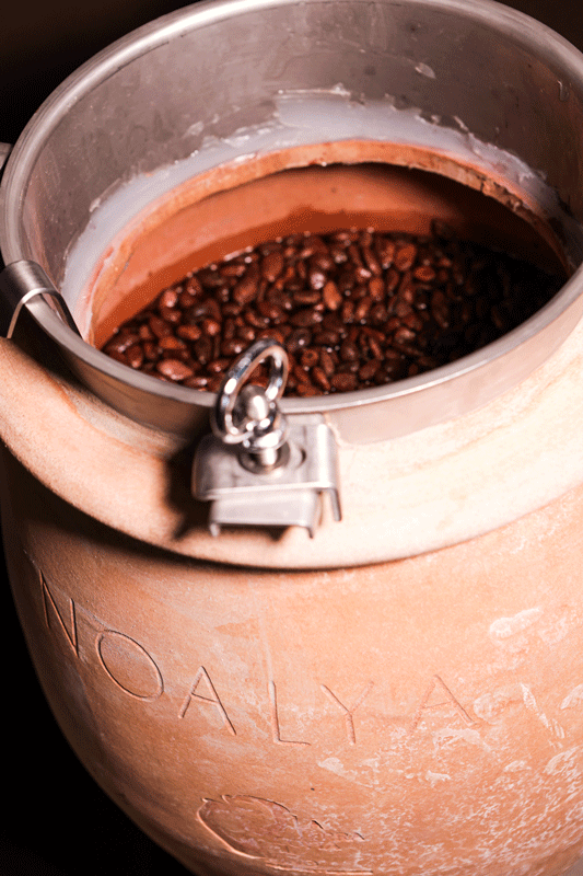 Le fave di cacao criollo del Venezuela fermentano in anfora dopo l'infusione nel mosto del Sagrantino di Montefalco Passito
