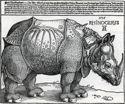 Rinoceronte: la celebre xilografia di Albrecht Dürer del 1515