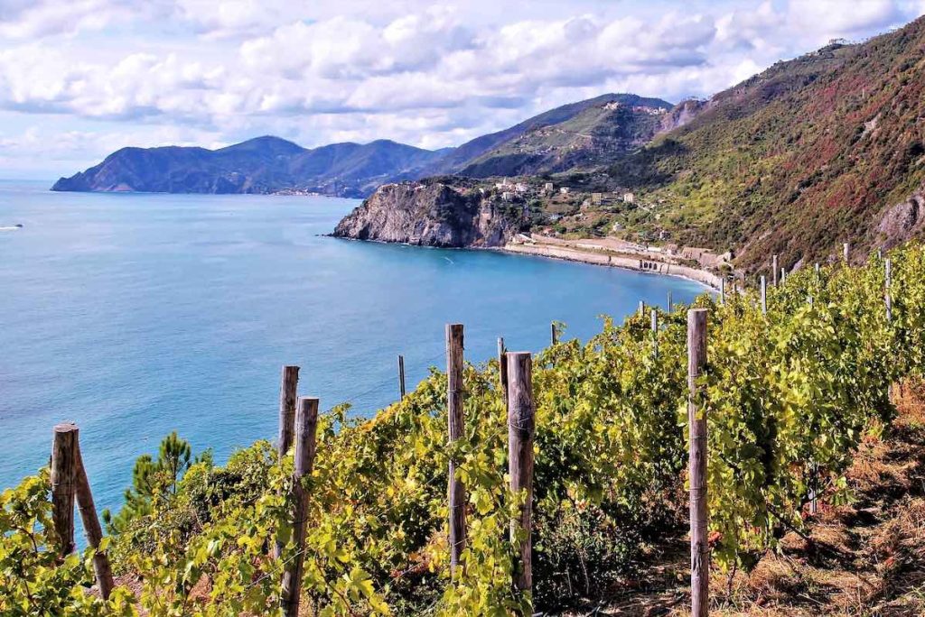 Cinque Terre - terrazzamenti vitati - eroica - panorama - Foto di Bonat da Pixabay