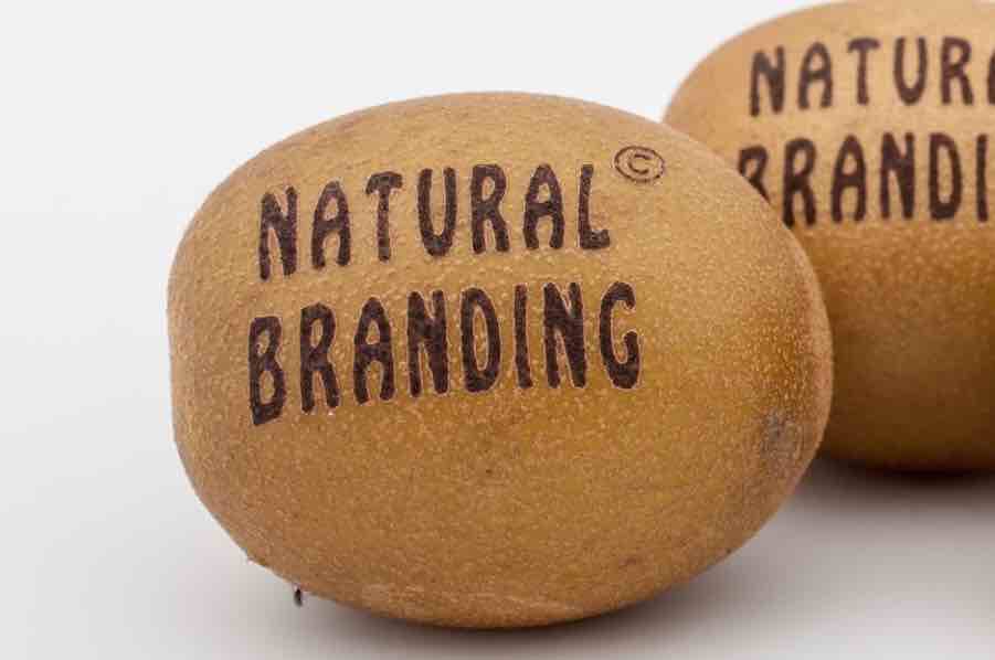 natural branding foto_solarimpulse