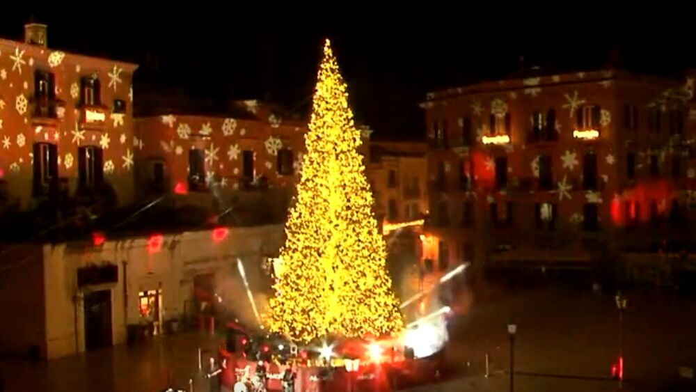 albero di natale a Bari per san Nicola