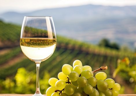 È un Vermentino il vino dal migliore rapporto qualità-prezzo della Sardegna per il Gambero Rosso