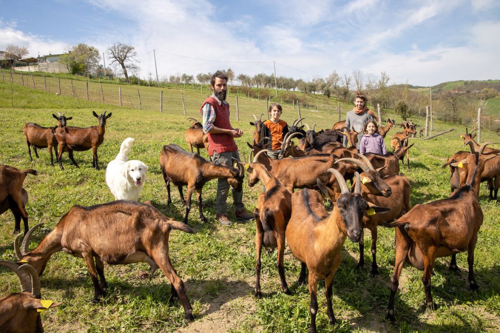 Olivia storia di una capra, Federico, lia e i figli Vincenzo e Gea al pascolo foto Mauro Monti