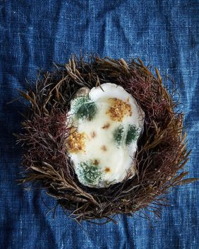 21_02_NOMA_OCEAN_Quince_amazake_oyster. Foto: Ditte Isager