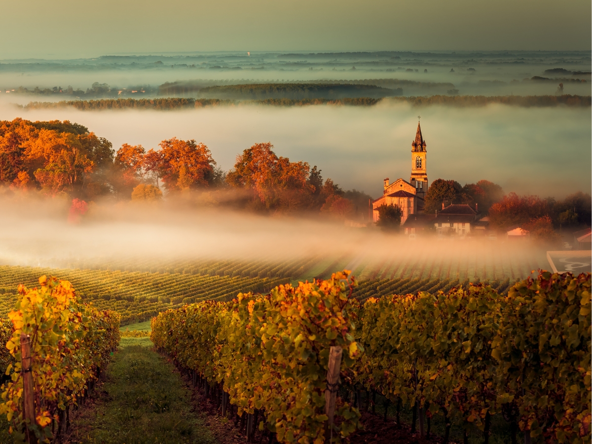 The great escape from Bordeaux of Chinese entrepreneurs: around fifty Châteaux for sale