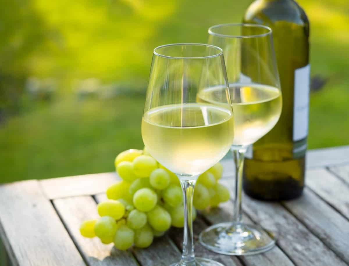 I 13 migliori Pinot Bianco dell'Alto Adige e del Friuli Venezia Giulia al di sotto di 20 euro scelti dal Gambero Rosso